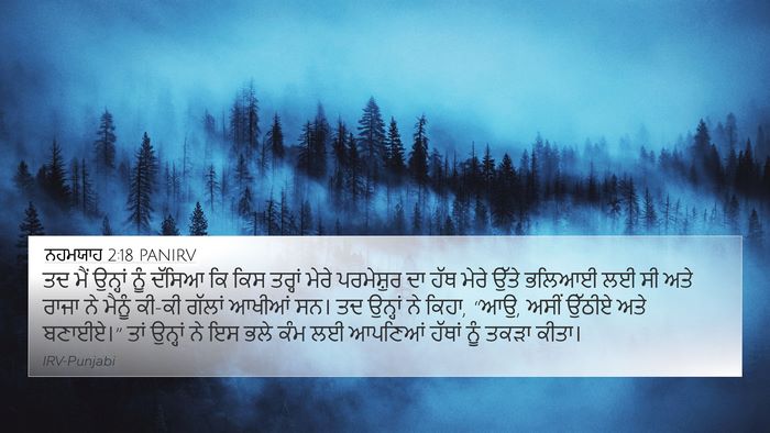 ਨਹਮਯਾਹ 2:18 PANIRV Bible Verse Image