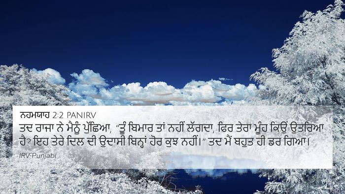 ਨਹਮਯਾਹ 2:2 PANIRV 4K Wallpaper - ਤਦ ਰਾਜਾ ਨੇ ਮੈਨੂੰ - 4K Wallpaper Bible Verse