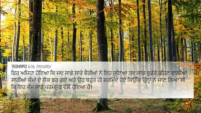 ਨਹਮਯਾਹ 6:16 PANIRV Bible Verse Image