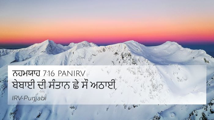 ਨਹਮਯਾਹ 7:16 PANIRV Bible Verse Image