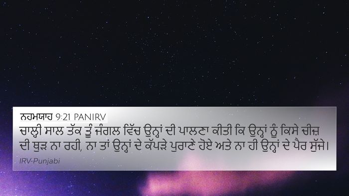 ਨਹਮਯਾਹ 9:21 PANIRV Bible Verse Image
