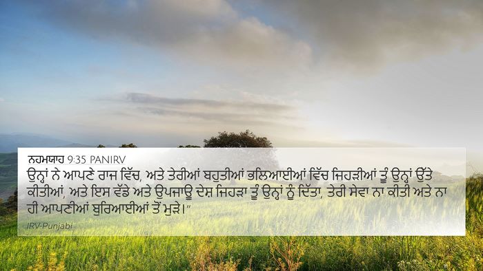 ਨਹਮਯਾਹ 9:35 PANIRV Bible Verse Image