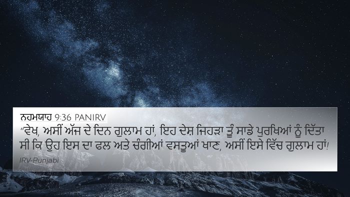 ਨਹਮਯਾਹ 9:36 PANIRV Bible Verse Image