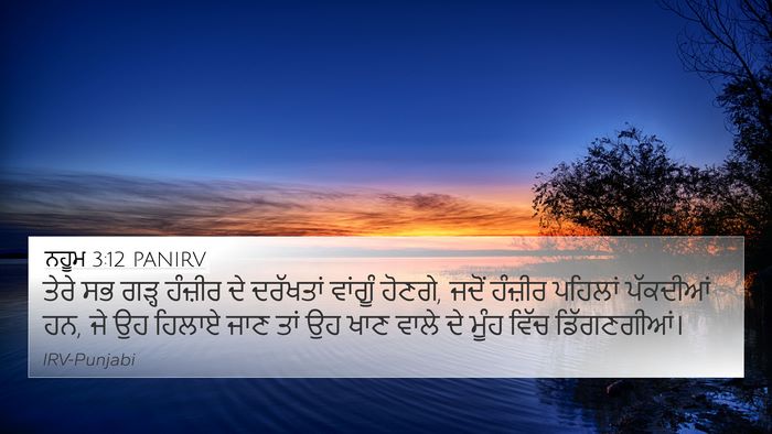 ਨਹੂਮ 3:12 PANIRV Bible Verse Image