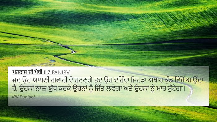 ਪਰਕਾਸ਼ ਦੀ ਪੋਥੀ 11:7 PANIRV Bible Verse Image