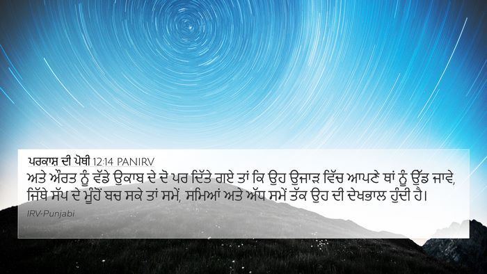 ਪਰਕਾਸ਼ ਦੀ ਪੋਥੀ 12:14 PANIRV Bible Verse Image
