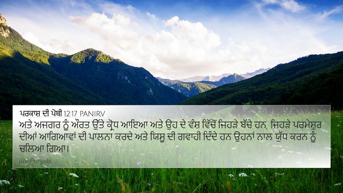 ਪਰਕਾਸ਼ ਦੀ ਪੋਥੀ 12:17 PANIRV Bible Verse Image