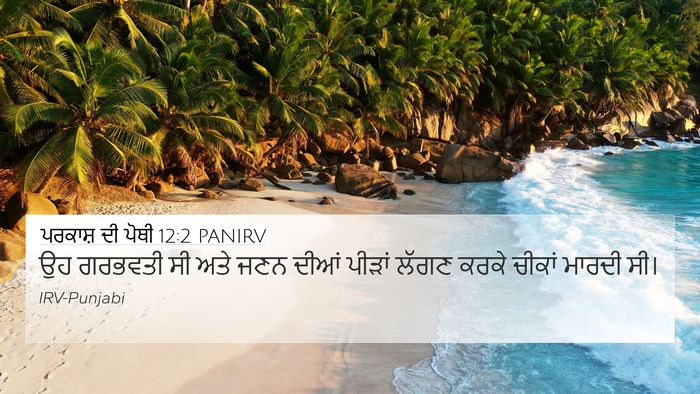 ਪਰਕਾਸ਼ ਦੀ ਪੋਥੀ 12:2 PANIRV Bible Verse Image