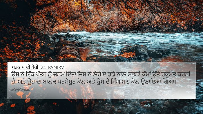 ਪਰਕਾਸ਼ ਦੀ ਪੋਥੀ 12:5 PANIRV Bible Verse Image