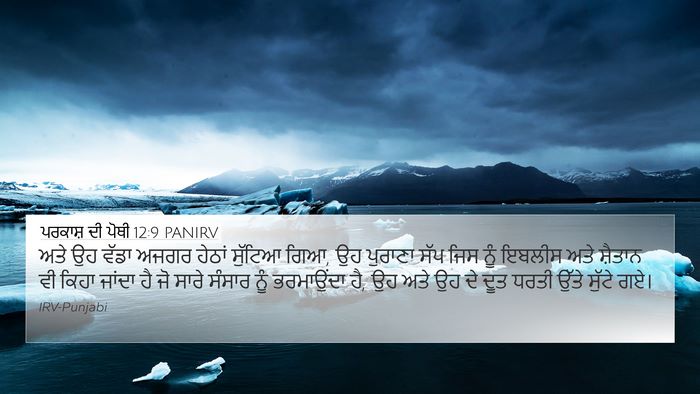 ਪਰਕਾਸ਼ ਦੀ ਪੋਥੀ 12:9 PANIRV Bible Verse Image