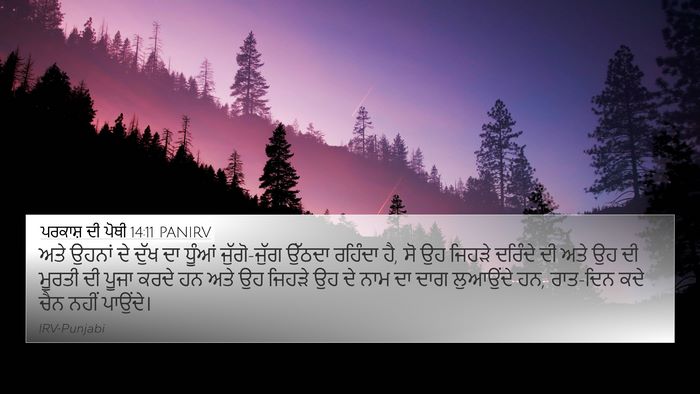 ਪਰਕਾਸ਼ ਦੀ ਪੋਥੀ 14:11 PANIRV Bible Verse Image