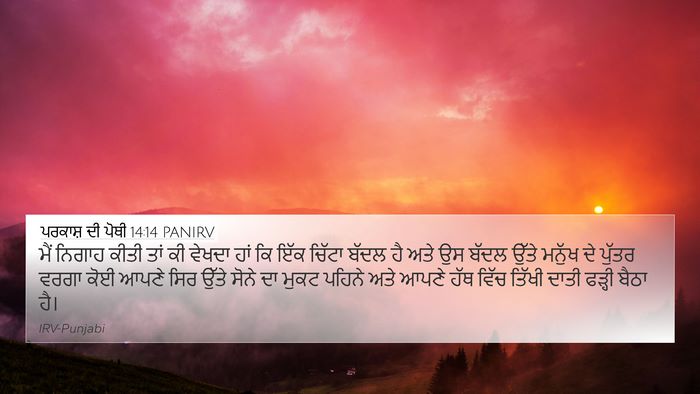 ਪਰਕਾਸ਼ ਦੀ ਪੋਥੀ 14:14 PANIRV Bible Verse Image