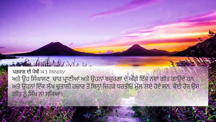 ਪਰਕਾਸ਼ ਦੀ ਪੋਥੀ 14:3 PANIRV Bible Verse Image