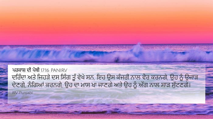 ਪਰਕਾਸ਼ ਦੀ ਪੋਥੀ 17:16 PANIRV Bible Verse Image