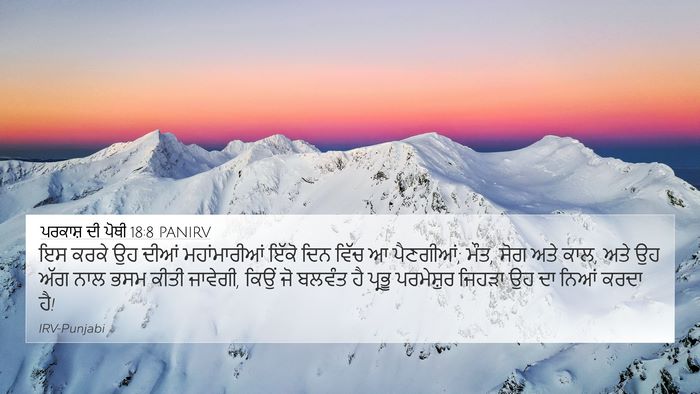 ਪਰਕਾਸ਼ ਦੀ ਪੋਥੀ 18:8 PANIRV Bible Verse Image