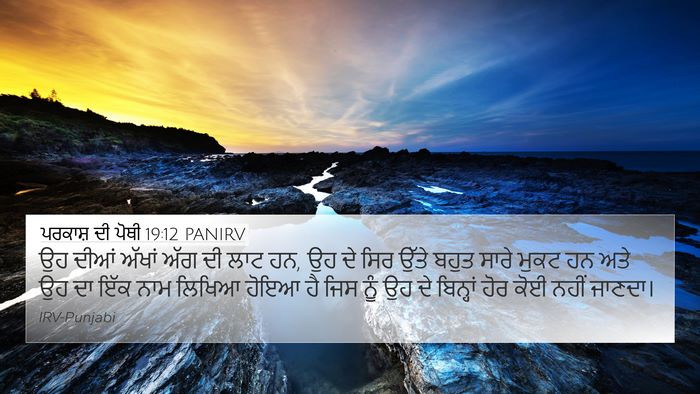 ਪਰਕਾਸ਼ ਦੀ ਪੋਥੀ 19:12 PANIRV Bible Verse Image