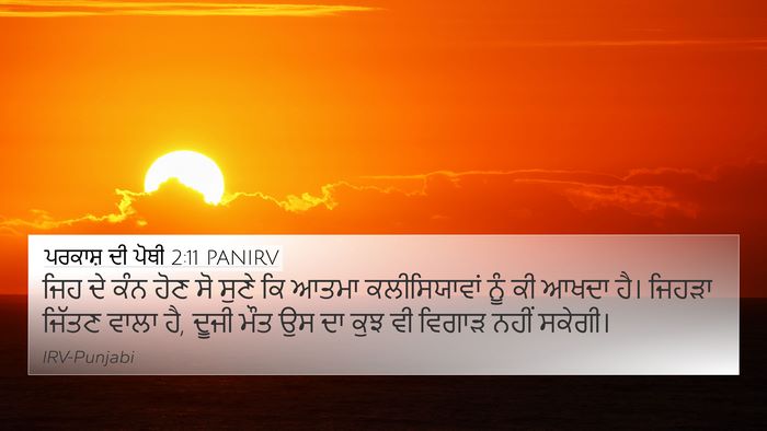 ਪਰਕਾਸ਼ ਦੀ ਪੋਥੀ 2:11 PANIRV Bible Verse Image