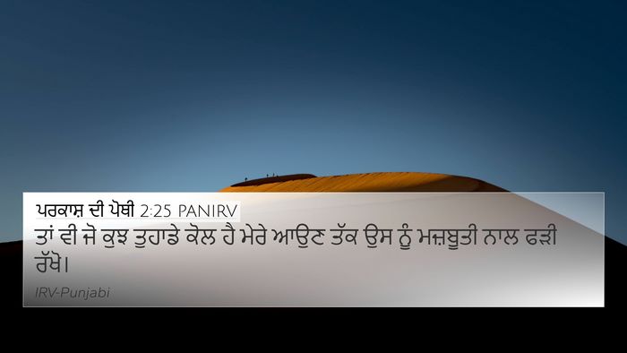 ਪਰਕਾਸ਼ ਦੀ ਪੋਥੀ 2:25 PANIRV Bible Verse Image