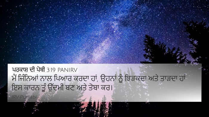 ਪਰਕਾਸ਼ ਦੀ ਪੋਥੀ 3:19 PANIRV Bible Verse Image