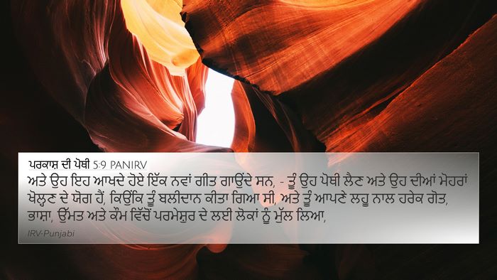 ਪਰਕਾਸ਼ ਦੀ ਪੋਥੀ 5:9 PANIRV Bible Verse Image