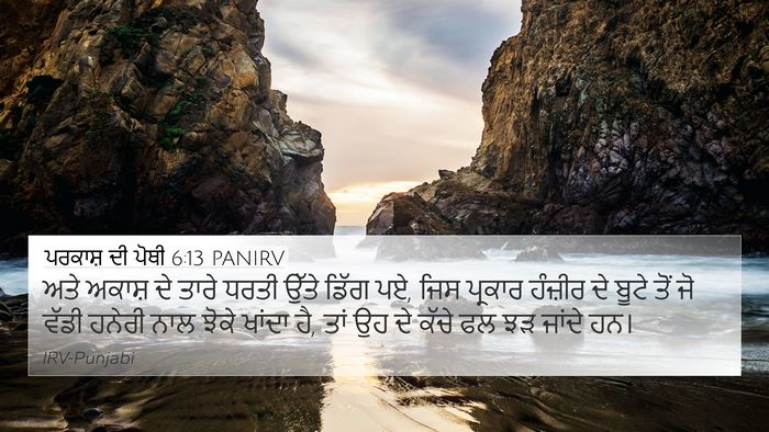 ਪਰਕਾਸ਼ ਦੀ ਪੋਥੀ 6:13 PANIRV Bible Verse Image