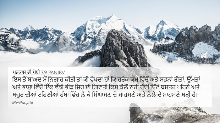 ਪਰਕਾਸ਼ ਦੀ ਪੋਥੀ 7:9 PANIRV Bible Verse Image