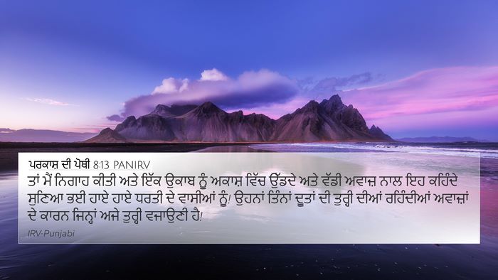 ਪਰਕਾਸ਼ ਦੀ ਪੋਥੀ 8:13 PANIRV Bible Verse Image