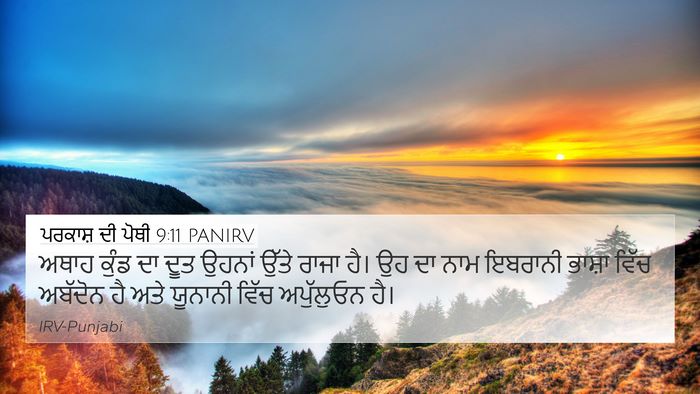 ਪਰਕਾਸ਼ ਦੀ ਪੋਥੀ 9:11 PANIRV Bible Verse Image