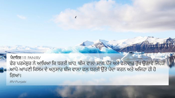 ਪੈਦਾਇਸ਼ 1:11 PANIRV 4K Wallpaper - ਫੇਰ ਪਰਮੇਸ਼ੁਰ ਨੇ - 4K Wallpaper Bible Verse