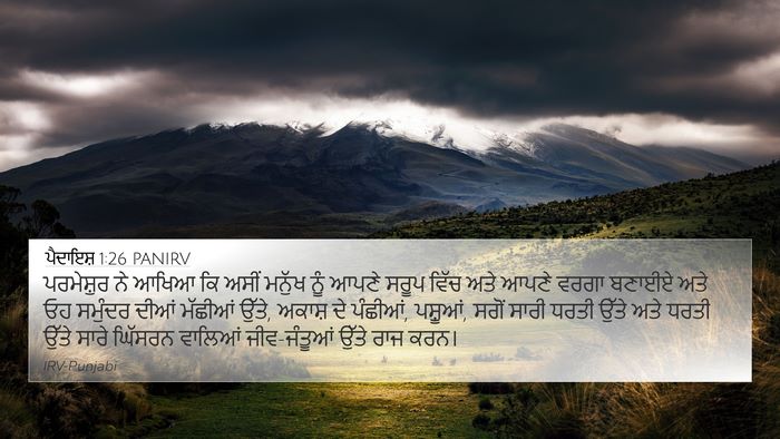 ਪੈਦਾਇਸ਼ 1:26 PANIRV Bible Verse Image