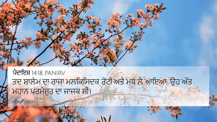 ਪੈਦਾਇਸ਼ 14:18 PANIRV Bible Verse Image