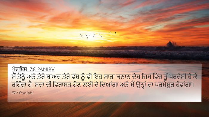 ਪੈਦਾਇਸ਼ 17:8 PANIRV Bible Verse Image