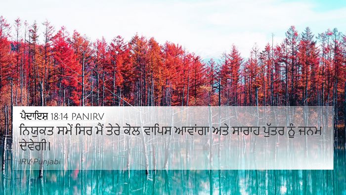 ਪੈਦਾਇਸ਼ 18:14 PANIRV Bible Verse Image