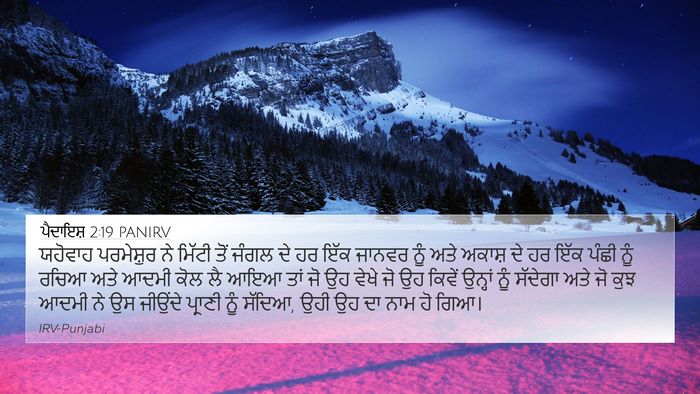 ਪੈਦਾਇਸ਼ 2:19 PANIRV Bible Verse Image