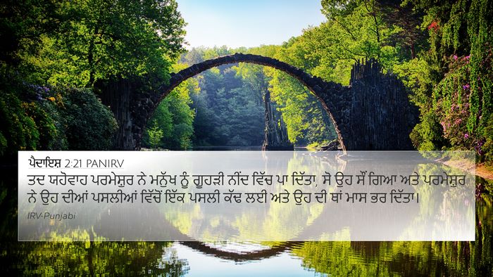 ਪੈਦਾਇਸ਼ 2:21 PANIRV Bible Verse Image