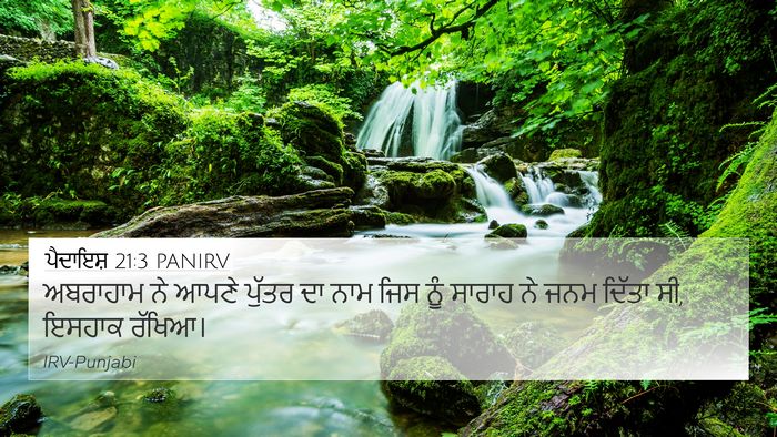 ਪੈਦਾਇਸ਼ 21:3 PANIRV Bible Verse Image