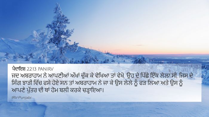 ਪੈਦਾਇਸ਼ 22:13 PANIRV Bible Verse Image