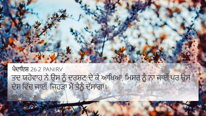ਪੈਦਾਇਸ਼ 26:2 PANIRV Bible Verse Image