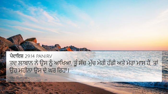 ਪੈਦਾਇਸ਼ 29:14 PANIRV Bible Verse Image
