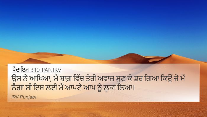 ਪੈਦਾਇਸ਼ 3:10 PANIRV Bible Verse Image