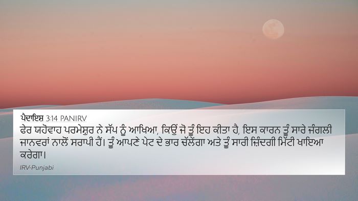 ਪੈਦਾਇਸ਼ 3:14 PANIRV Bible Verse Image