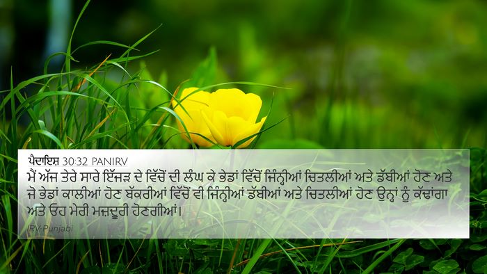 ਪੈਦਾਇਸ਼ 30:32 PANIRV Bible Verse Image