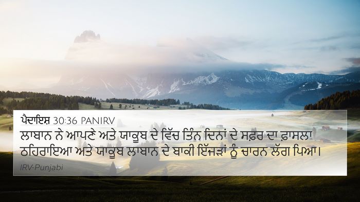 ਪੈਦਾਇਸ਼ 30:36 PANIRV Bible Verse Image