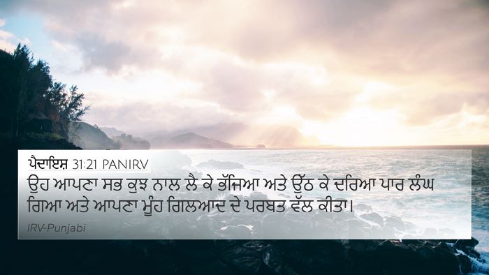 ਪੈਦਾਇਸ਼ 31:21 PANIRV Bible Verse Image