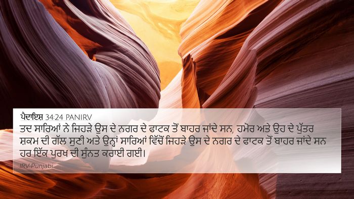 ਪੈਦਾਇਸ਼ 34:24 PANIRV Bible Verse Image