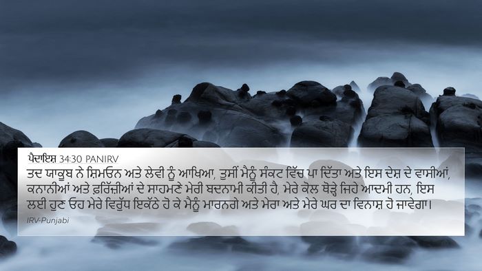 ਪੈਦਾਇਸ਼ 34:30 PANIRV Bible Verse Image