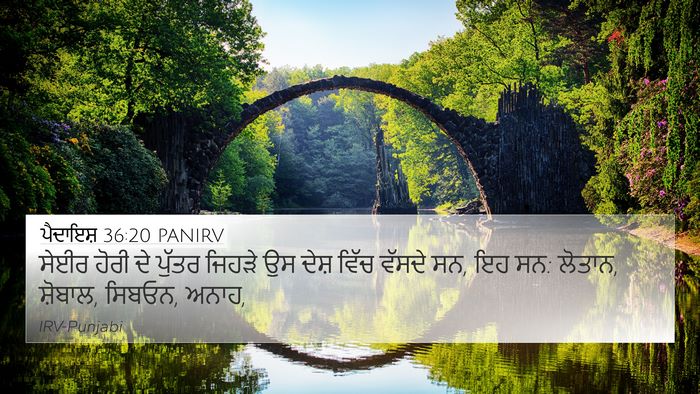 ਪੈਦਾਇਸ਼ 36:20 PANIRV Bible Verse Image