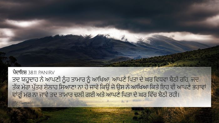 ਪੈਦਾਇਸ਼ 38:11 PANIRV Bible Verse Image