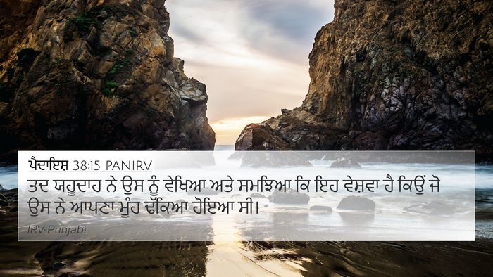 ਪੈਦਾਇਸ਼ 38:15 PANIRV Bible Verse Image