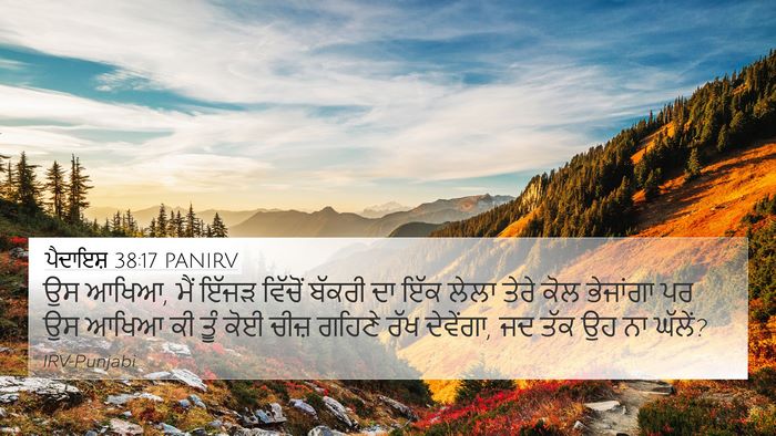 ਪੈਦਾਇਸ਼ 38:17 PANIRV Bible Verse Image